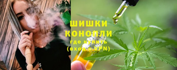 шишки Чердынь