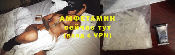 шишки Чердынь