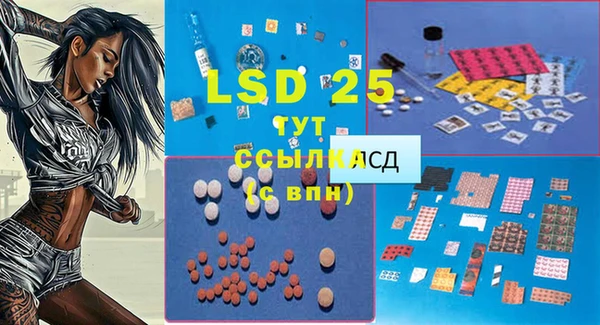 шишки Чердынь