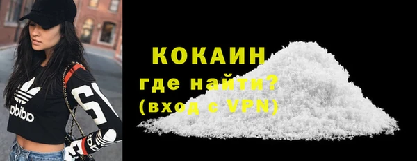шишки Чердынь
