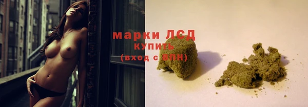 шишки Чердынь
