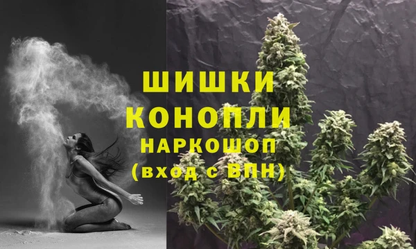 шишки Чердынь