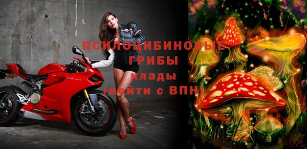 шишки Чердынь