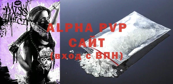 шишки Чердынь