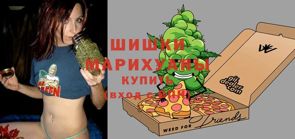 шишки Чердынь